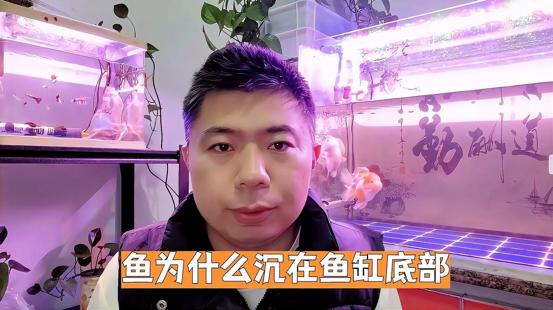魚趴底是什么原因