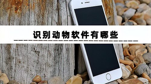動(dòng)物識(shí)別掃一掃
