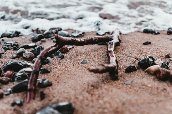 觀賞型魚缸圖片：觀賞型魚缸清潔維護(hù)技巧，魚缸尺寸與空間適配，魚缸選購指南