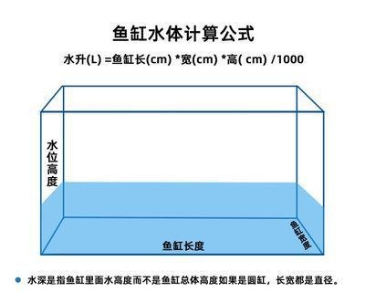 龍魚精養缸水位多少：龍魚精養缸水位管理