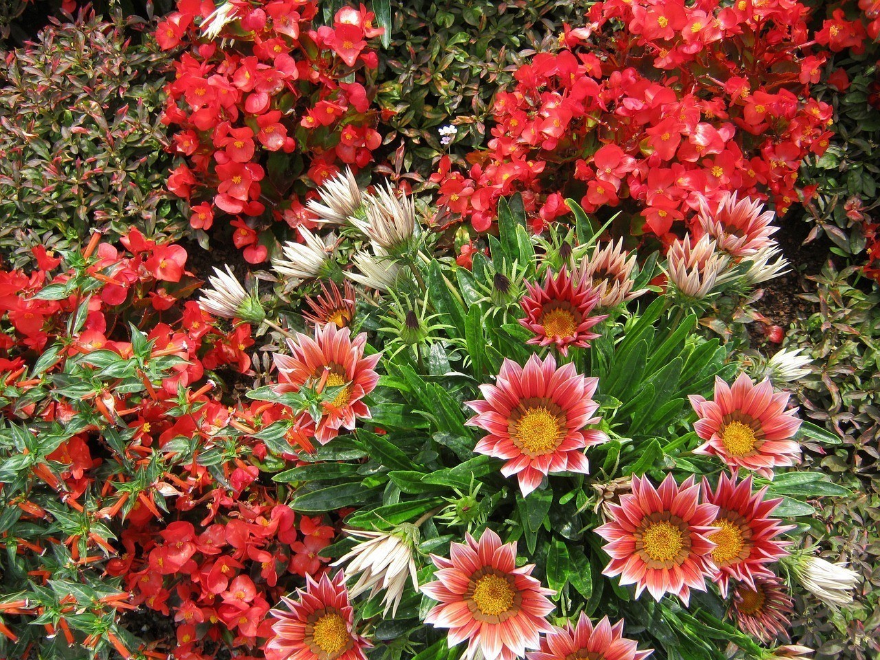 鄭州芳怡花卉有限公司（鄭州芳怡花卉有限公司怎么樣）