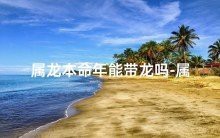 魚缸活性炭的選購指南：魚缸活性炭使用誤區解析魚缸活性炭使用誤區解析