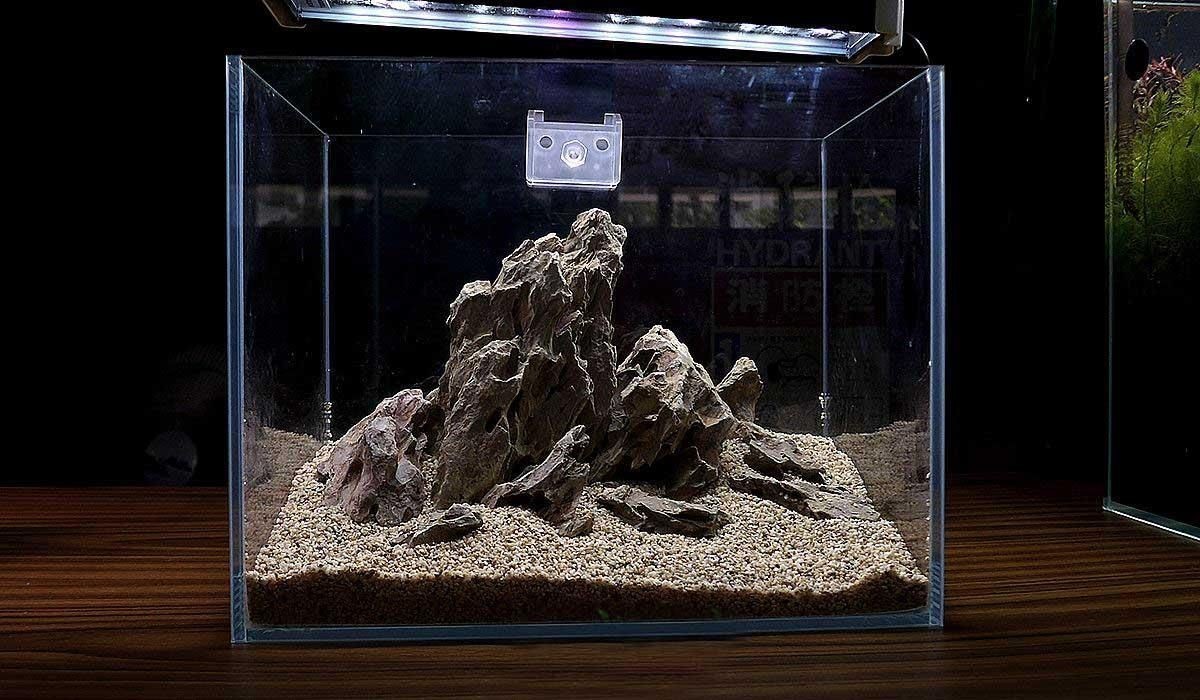 龜紋石可以放魚缸嗎（臨沂龜紋石盆景批發龜紋石盆景批發龜紋石盆景批發）