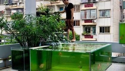 民用住宅建筑樓面承重標準規定是2千牛/平方米：如何在高層樓房中放置大型魚缸