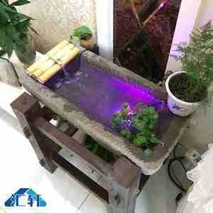 圓形魚缸適合養哪些魚？：圓形魚缸是否適合養魚？