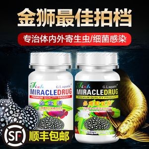 魚缸清洗首選創藝水族有限公司：深圳魚缸清洗公司