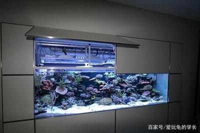 好魚缸有哪些標準和要求（好魚缸有哪些標準和要求選擇優質魚缸的關鍵標準和要求）