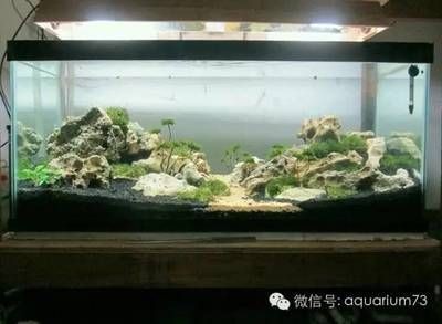 好魚缸有哪些標準和要求（好魚缸有哪些標準和要求選擇優質魚缸的關鍵標準和要求）