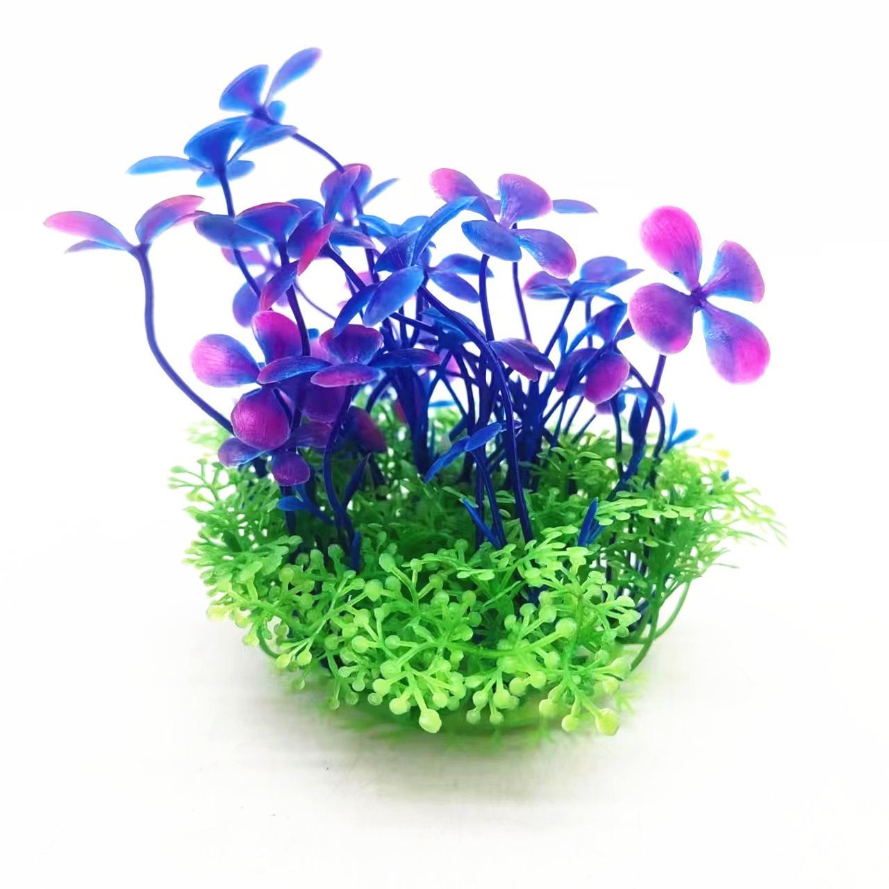 優秀魚缸造景：優秀魚缸造景技巧