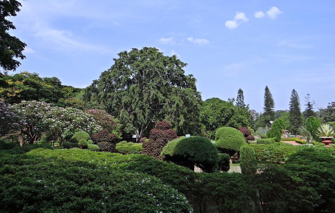 南通花園綠化工程有限公司（南通園林綠化）