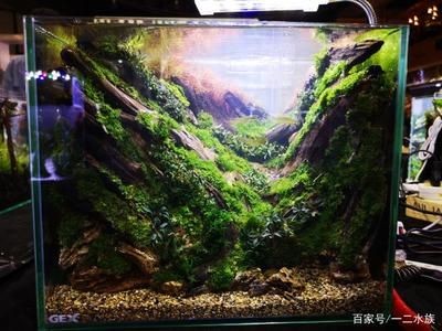 廣州魚缸造景魚缸造景展會(huì)時(shí)間表廣州魚缸造景展會(huì)時(shí)間表：2024廣州國際漁博會(huì)時(shí)間表