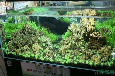 廣州魚缸造景魚缸造景展會(huì)時(shí)間表廣州魚缸造景展會(huì)時(shí)間表：2024廣州國際漁博會(huì)時(shí)間表