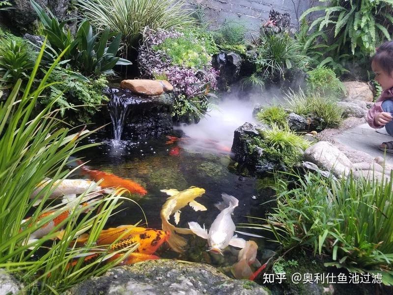 淡水魚加鹽的比例