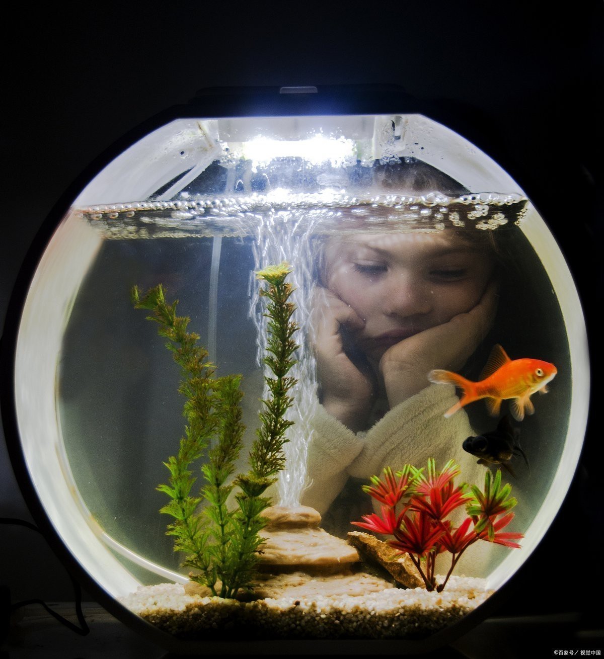 淡水魚加鹽的比例