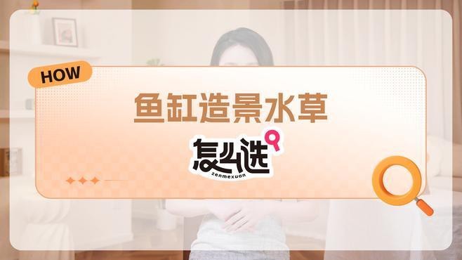 龍魚缸周圍可以放什么植物