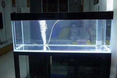 diy魚缸吸糞器（diy魚缸吸糞器,）
