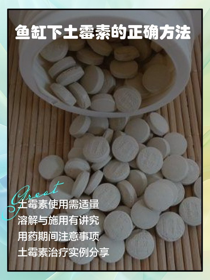土霉素治療龍魚用量