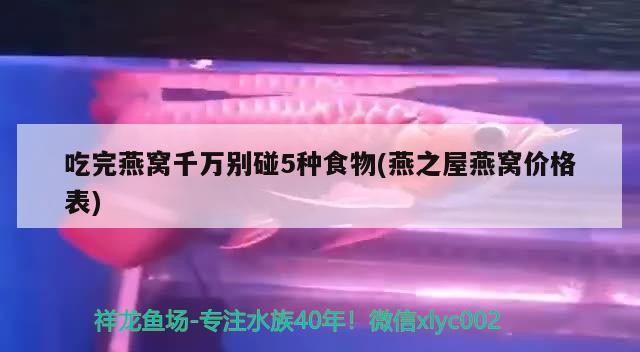 西安市新城區(qū)金森造景工藝品商行（西安金森仿真植物有限公司）