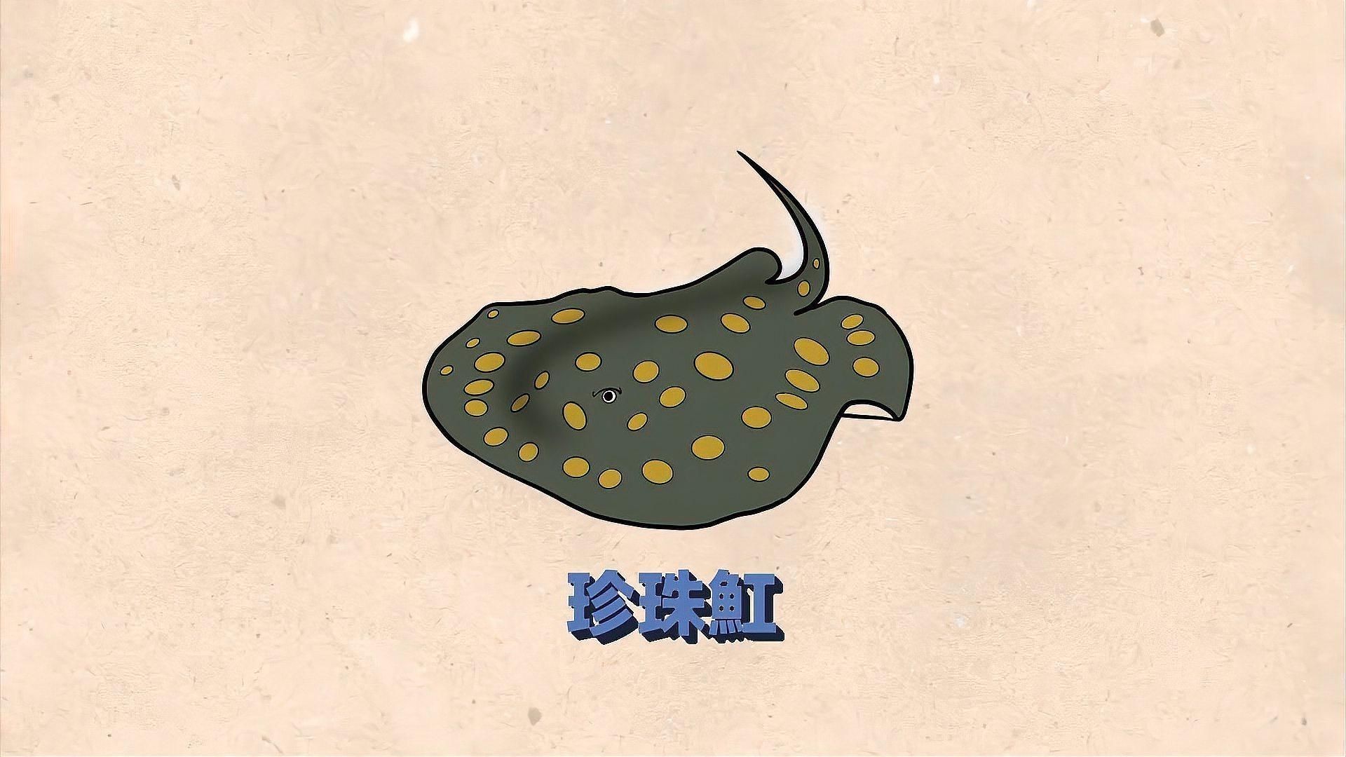 魟魚黑金和珍珠的區(qū)別