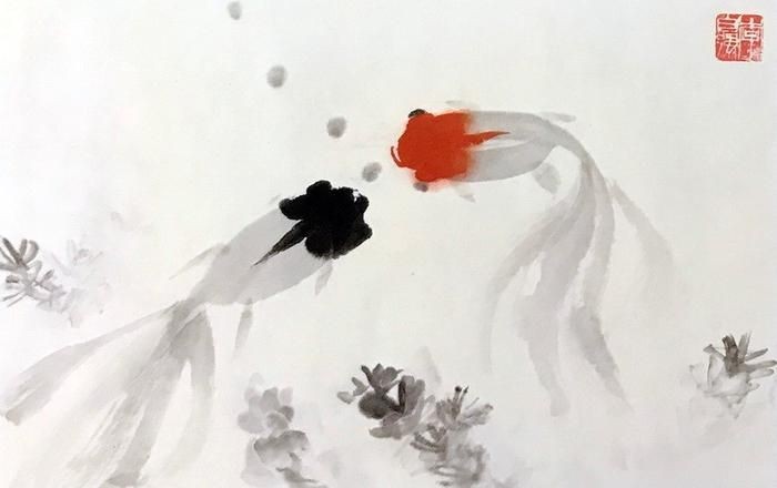 國畫魚缸金魚的基本介紹和畫法步驟：國畫中的金魚國畫畫法步驟：國畫金魚的畫法步驟