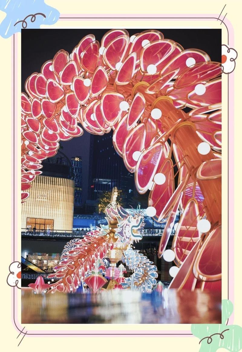 愛養魚龍龍的視頻拍攝技巧有哪些？