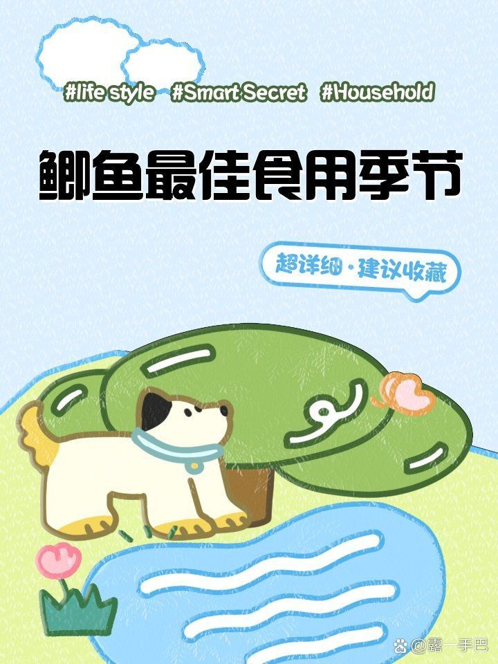 鯽魚哪個季節吃最合適