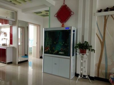 一米陽光魚缸多少升水：一米陽光魚缸多少升水適合養(yǎng)什么魚魚缸水位控制技巧