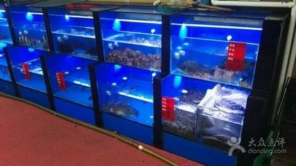 一米陽光魚缸多少升水：一米陽光魚缸多少升水適合養(yǎng)什么魚魚缸水位控制技巧