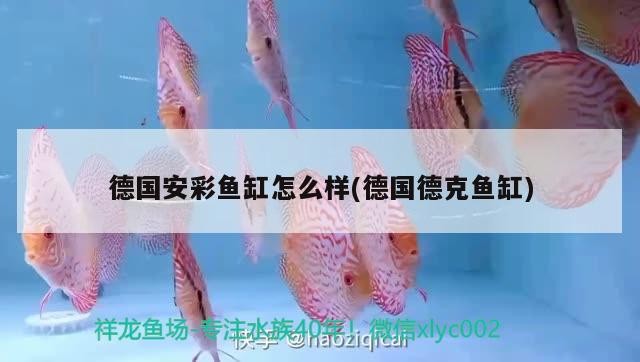 十堰市凱歌動物醫(yī)藥(孫濤店)