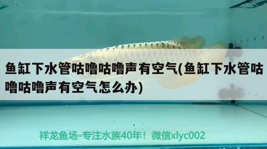 十堰市凱歌動物醫(yī)藥(孫濤店)