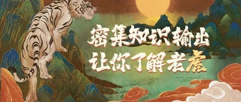 虎在風水中代表什么