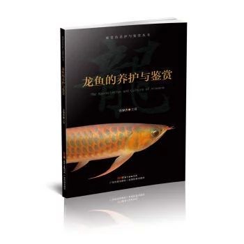 龍魚的鑒賞要點(diǎn)是什么意思呀：龍魚的鑒賞要點(diǎn)