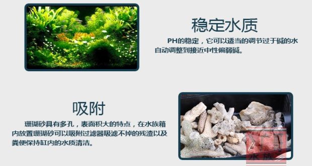 魚缸底砂的選擇與養護：底砂魚缸的過濾方式及其相關的清理和注意事項