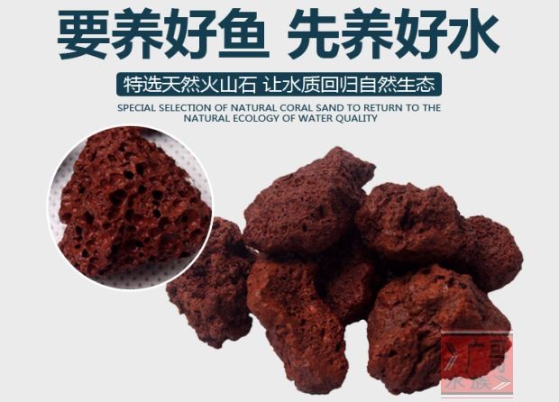 魚缸底砂的選擇與養護：底砂魚缸的過濾方式及其相關的清理和注意事項