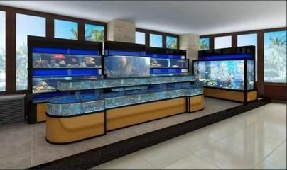 自制海鮮魚缸的步驟詳解：咸水魚缸的養護技巧