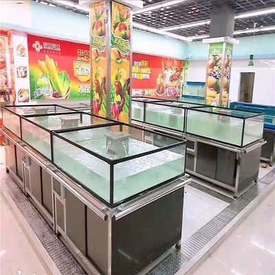 自制海鮮魚缸的步驟詳解：咸水魚缸的養護技巧
