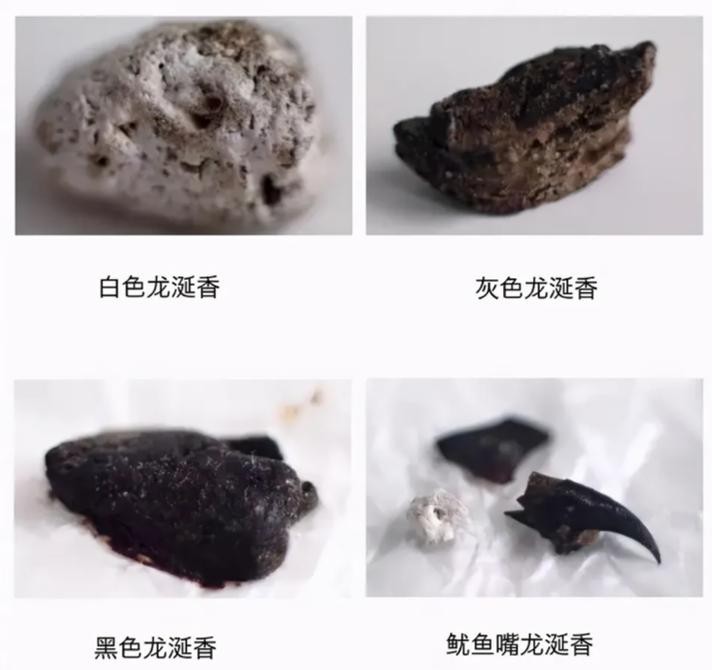 能提供幾張真假紅龍涎對比圖嗎？