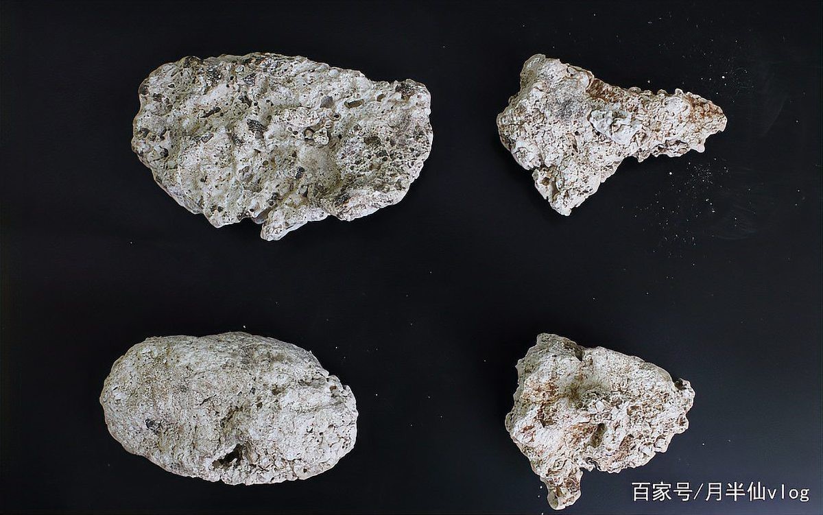 能提供幾張真假紅龍涎對比圖嗎？