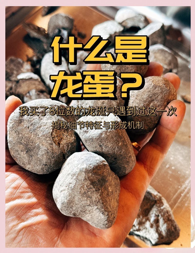 能提供幾張真假紅龍涎對比圖嗎？