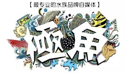 朋友圈發(fā)龍魚怎么說(shuō)話，朋友圈發(fā)龍魚怎么說(shuō)話說(shuō)話：如何在朋友圈發(fā)龍魚？