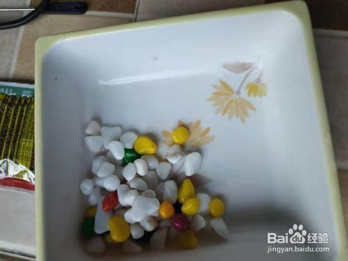 小型魚缸的裝飾技巧：小型魚缸裝飾技巧