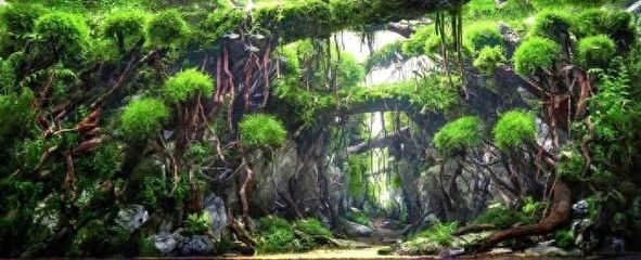 魚缸背景圖片100張（自然風景背景圖片100張）