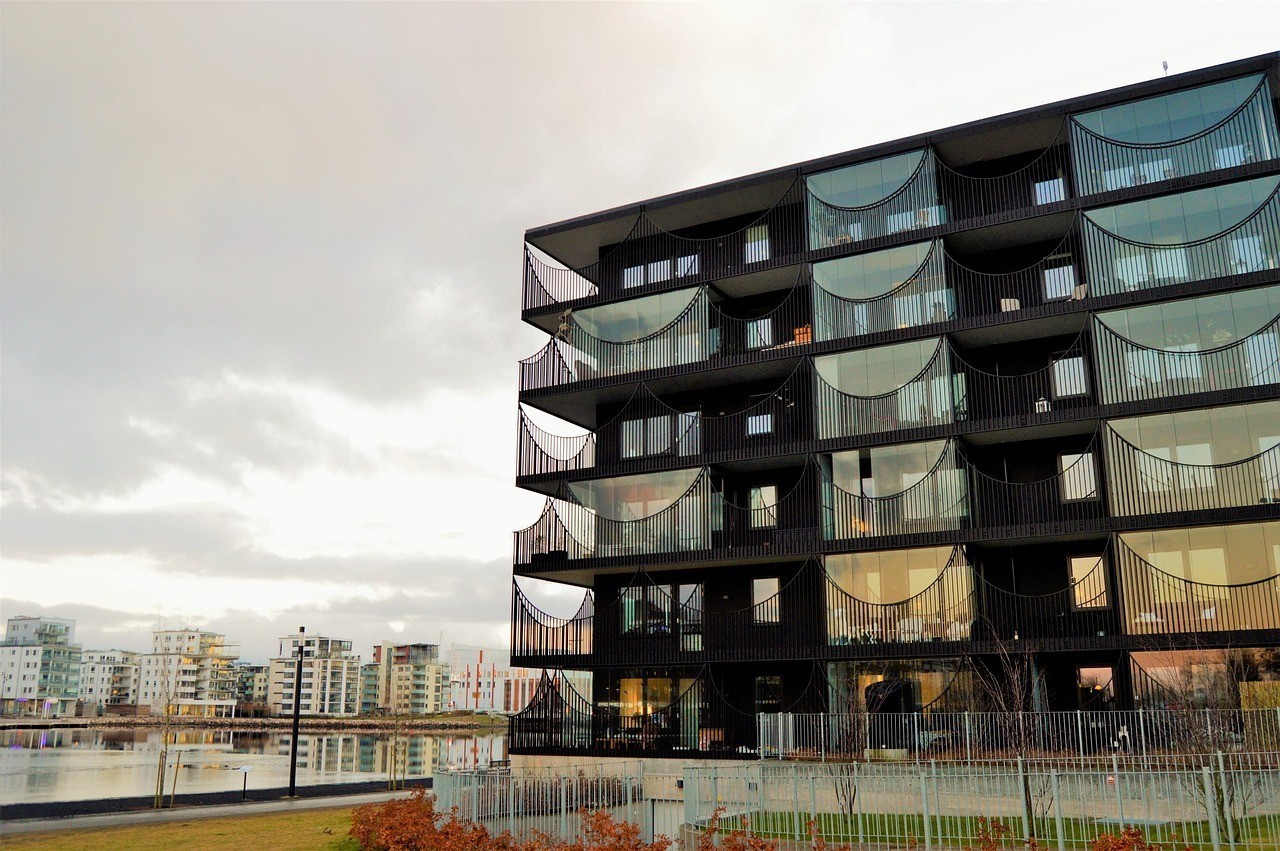 成年龍魚價格走勢分析（成年龍魚價格走勢分析成年龍魚價格走勢分析）