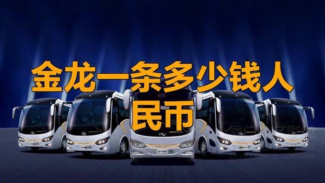 金頭金龍魚長大后的價格如何？