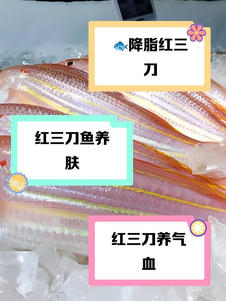 紅三刀魚(yú)為何要少吃
