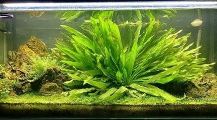三亞亞特蘭蒂斯水族館
