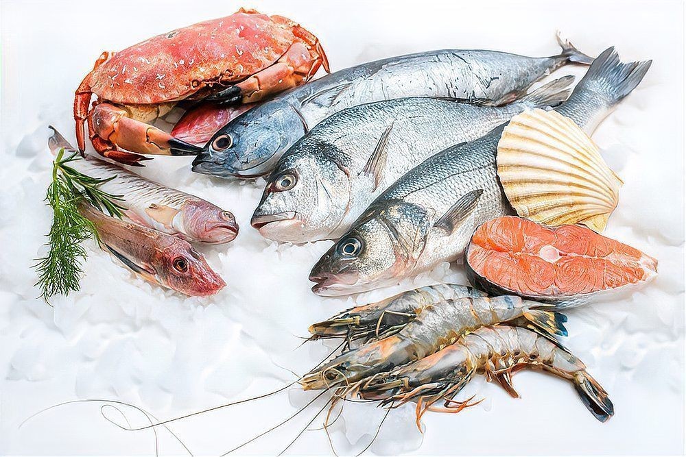 鮰魚為什么是最臟的魚