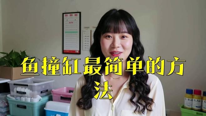龍魚撞缸后應該如何急救處理？ 龍魚撞缸后應該如何急救處理？ 龍魚論壇 第5張