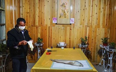 貴陽金龍魚董事長兒子叫什么名字呢，貴陽金龍魚董事長兒子叫金龍