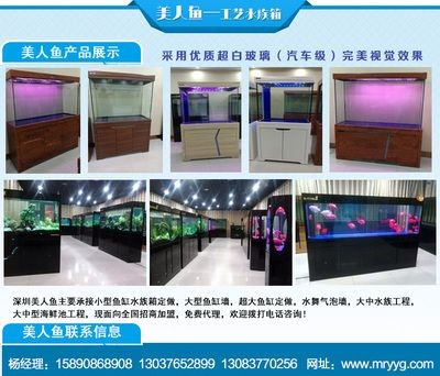 登封魚缸批發市場：河南登封市魚缸批發市場